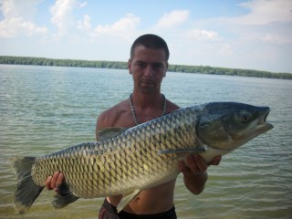 IMG_1173.JPG