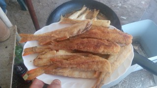 IMG_20160731_115617.jpg