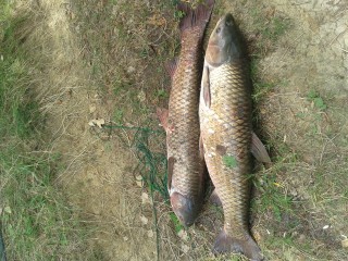 20160803_114536.jpg