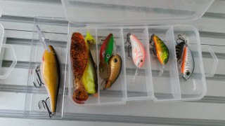 20160801_161323.jpg