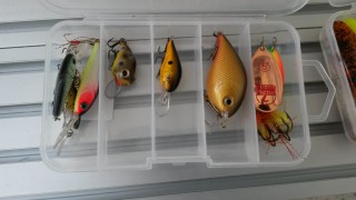 20160801_161310.jpg