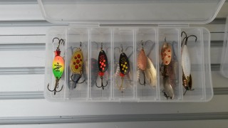 20160801_161249.jpg