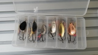 20160801_161106.jpg