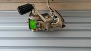 20160801_160719.jpg