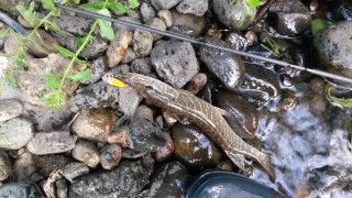 20160806_184337.jpg