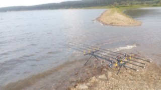 IMG_20160806_195558.jpg