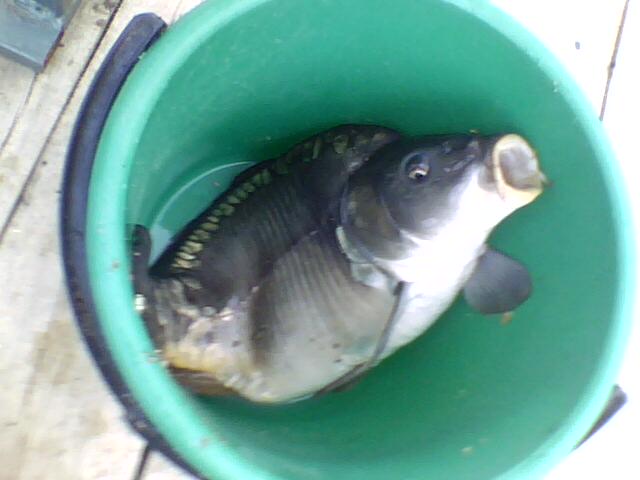 17-05-11_071904.jpg