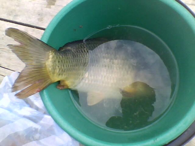 17-05-11_093132.jpg