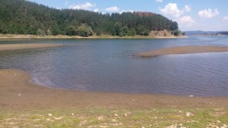 IMG_20160821_135454.jpg