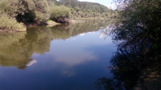 IMG_20160821_142243.jpg