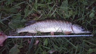 20160825_202651_HDR.jpg