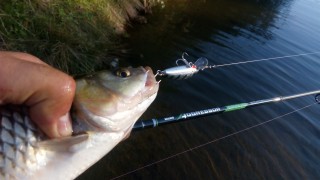 IMG_20160918_181310.jpg