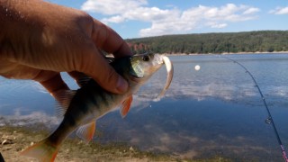 IMG_20160924_124610.jpg