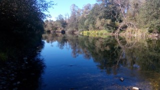 IMG_20160924_094900.jpg
