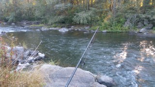 IMG_20160924_090105.jpg