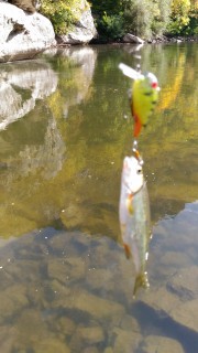 P_20161002_141613.jpg