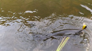 P_20161023_171920.jpg
