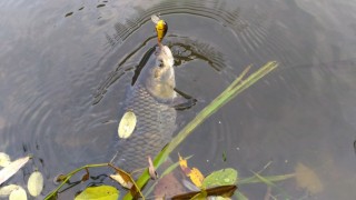 P_20161023_171946.jpg