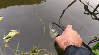 P_20161023_172611.jpg