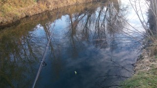 IMG_20161117_155344.jpg