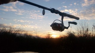 IMG_20161117_165030.jpg
