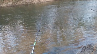 IMG_20161117_163005.jpg
