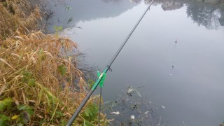 IMG_20161127_082852.jpg