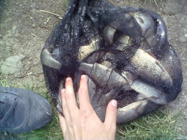 29052011460.JPG