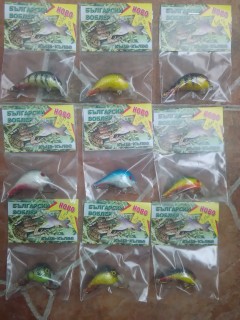 IMG_20170312_123424.jpg
