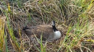 3.jpg (3 MiB) Преглеждано 6100 пъти 3.jpg