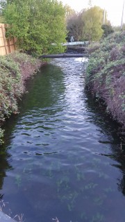 12.jpg (3.02 MiB) Преглеждано 6100 пъти 12.jpg