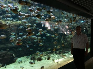 IMG_3002.JPG