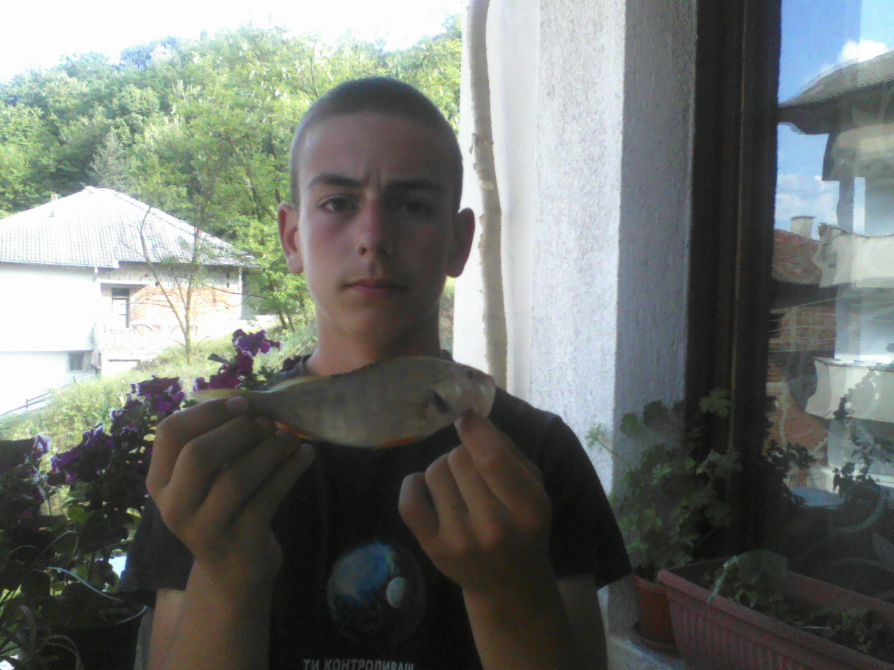 P05-06-11_17.50.jpg