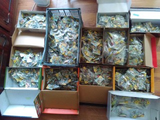 IMG_20170528_091747.jpg