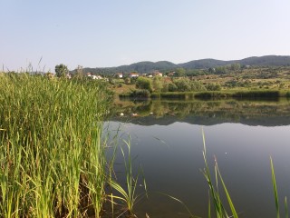 20170626_090251.jpg