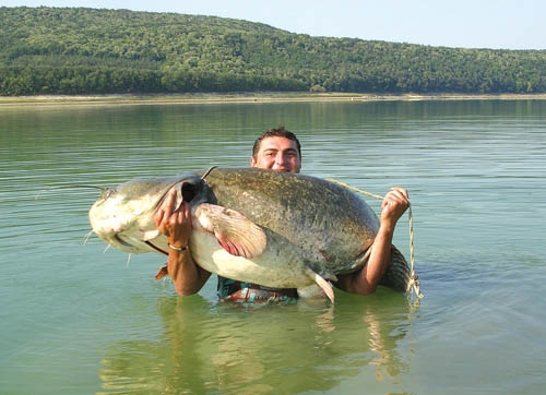 fish_sizes108.jpg