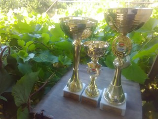 IMG_20170707_101250.jpg