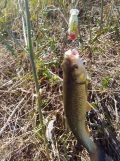 IMG_20170707_163602.jpg