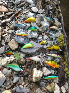 IMG_20170708_104104.jpg