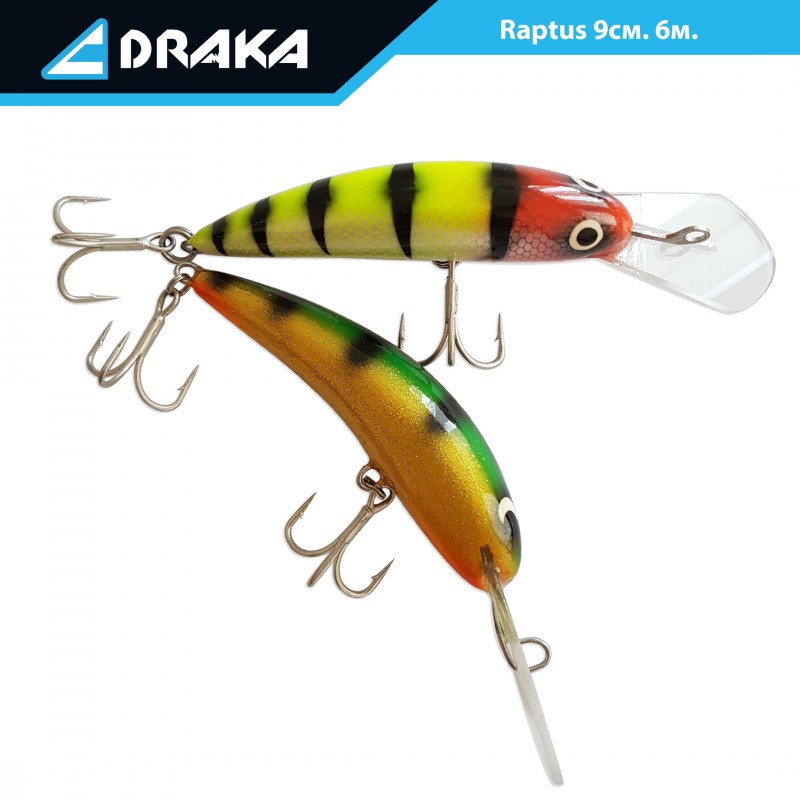 Raptus 6m-800x800.jpg