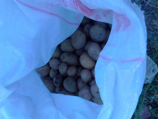 IMG_20170817_125127.jpg