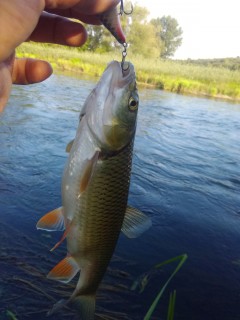 IMG_20170818_183123.jpg