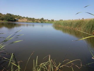 Изглед от водоема