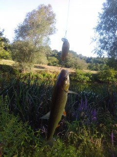 IMG_20170826_174754.jpg