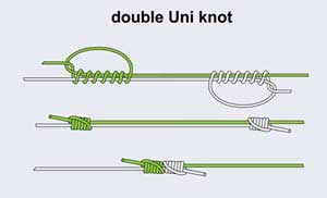 doubleUniKnot.jpg