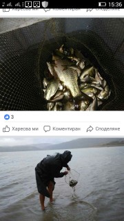 Screenshot_2017-09-27-15-36-02.jpeg