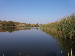 изглед от водоемчето