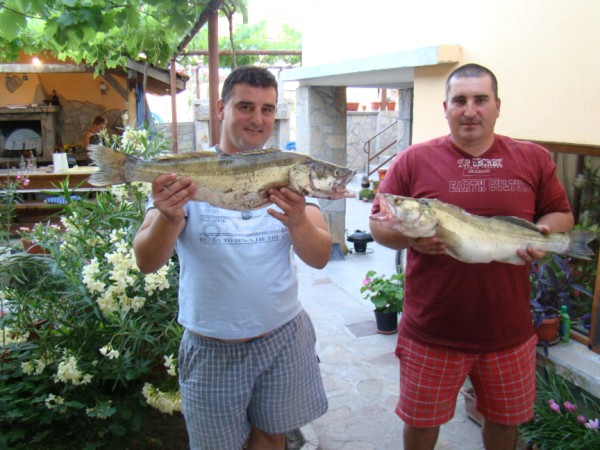 DSC02662 (600 x 450).jpg