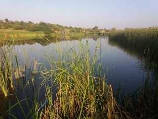 Тихо спокойно и красив водоем