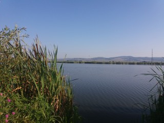 изглед от водоема